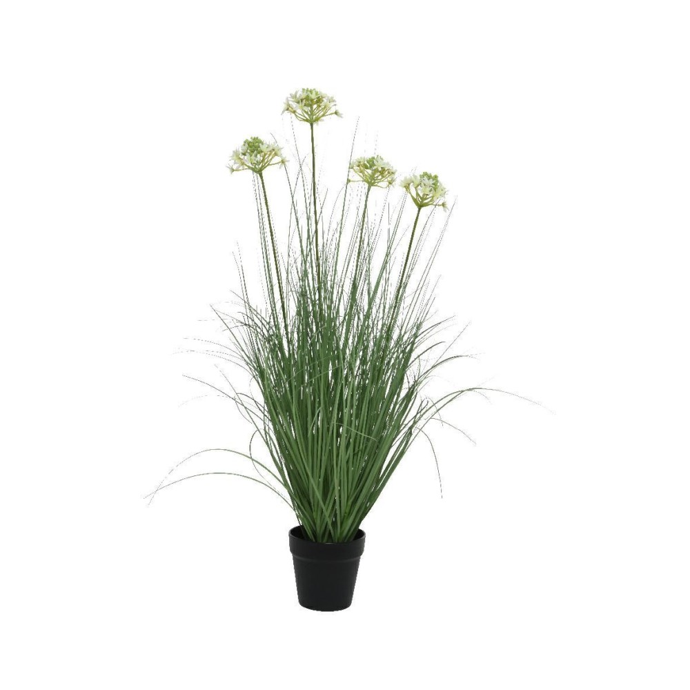PIANTA GRASSA GREEN H90